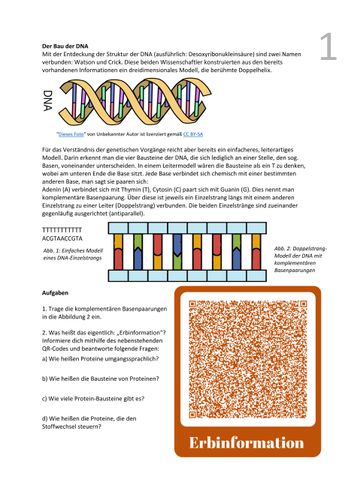 Eigenschaften des genetischen Codes – Unterrichtsmaterial im Fach Biologie
