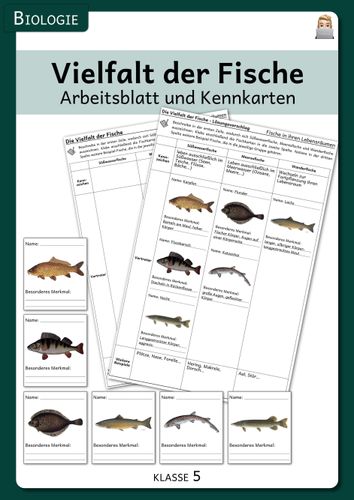 vielfalt der fische arbeitsblatt und kennkarten Merkmale Der Fische Arbeitsblatt
Vielfalt der Fische Arbeitsblatt und Kennkarten – Unterrichtsmaterial