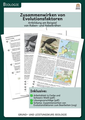 Zusammenwirken von Evolutionsfaktoren (Arbeitsblatt inkl ...