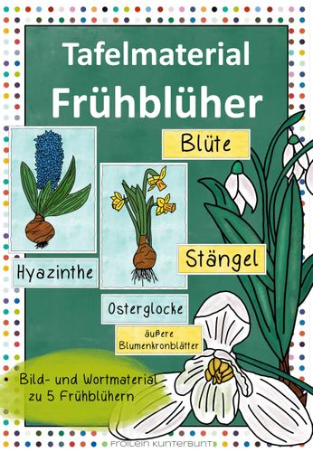tafelmaterial fruhbluher Frühblüher Unterrichtsmaterial
Tafelmaterial Frühblüher – Unterrichtsmaterial in den Fächern