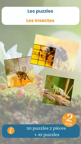 Les puzzles sur les insectes - Ressource pédagogique pour ton cours de ...