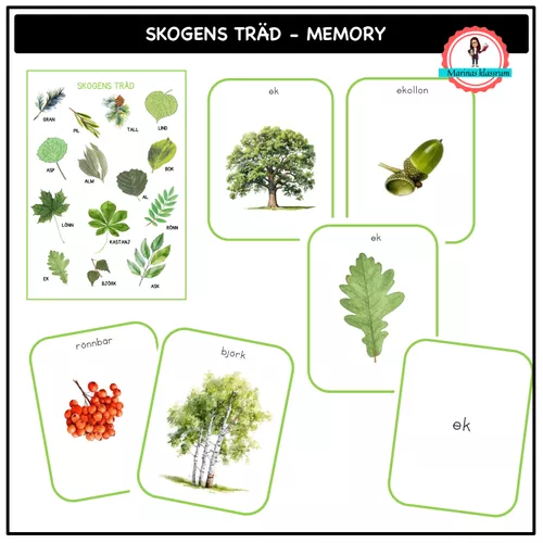 Träd - memory – material i ämnet NO