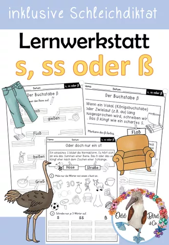 S, ss oder ß - Lernwerkstatt mit Arbeitsblättern und Schleichdiktat ...