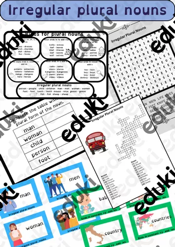 Irregular Plural Nouns Packet 不规则复数名词材料包 – 主题英语 的教材