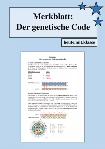 Merkblatt: Den genetischen Code entschlüsseln – Unterrichtsmaterial im ...