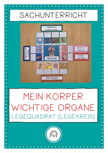 Legequadrat. Unser Körper - wichtige Organe – Unterrichtsmaterial in ...
