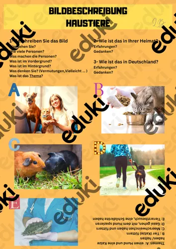 DTZ A2 B1 Sprechen Teil 2 Bildbeschreibung Themen Haustiere Und dtz-a2-b1-sprechen-teil-2-bildbeschreibung-themen-haustiere-und