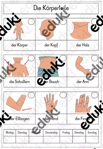 Körperteile Komplettpaket – Unterrichtsmaterial im Fach DaZ/DaF