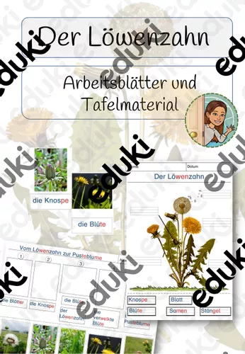 L wenzahn Aufbau Vom L wenzahn Zur Pusteblume Mit Tafelmaterial l-wenzahn-aufbau-vom-l-wenzahn-zur-pusteblume-mit-tafelmaterial