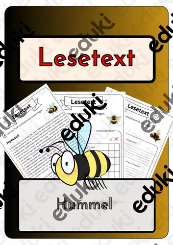 Leseverständnis - Hummel Lösungen – Unterrichtsmaterial in den ...