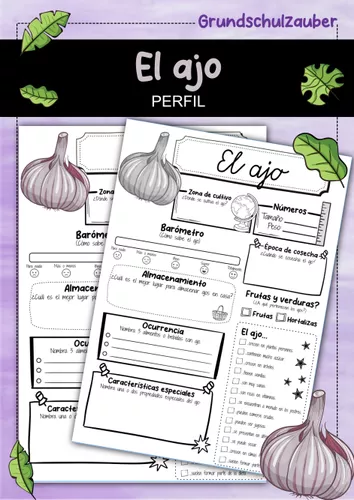 Hoja informativa sobre el ajo (español) – Unterrichtsmaterial im Fach ...