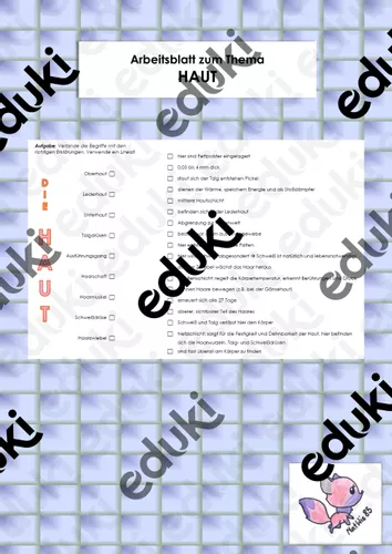 Die Haut - Arbeitsblatt – Unterrichtsmaterial im Fach Biologie