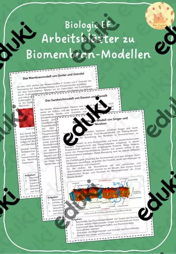 arbeitsblatter zu biomembran modellen Bio Arbeitsblätter
Arbeitsblätter zu Biomembran Modellen – Unterrichtsmaterial im Fach