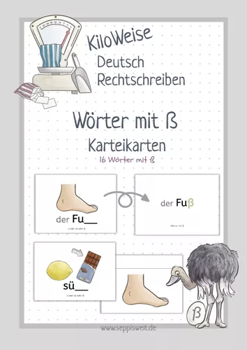 Karteikarten: Wörter mit ß – Unterrichtsmaterial im Fach Deutsch