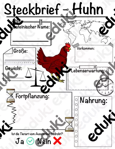steckbrief huhn Steckbrief Huhn Arbeitsblatt
Steckbrief Huhn – Unterrichtsmaterial im Fach Sachunterricht