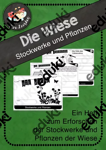 Die Wiese - Ein Heft zu Stockwerken und Pflanzen der Wiese ...