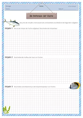 arbeitsblatt merkmale der fische Merkmale Der Fische Arbeitsblatt
Arbeitsblatt Die Merkmale der Fische – Unterrichtsmaterial in den