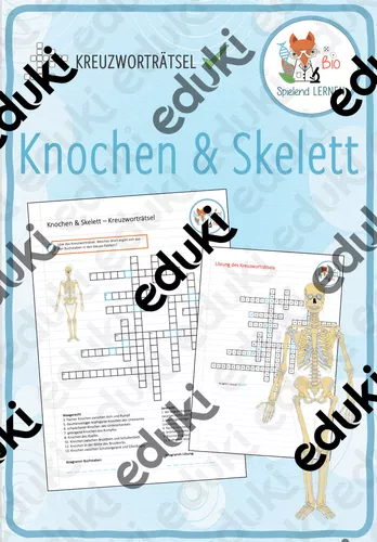 Knochen und Skelett - Kreuzworträtsel – Unterrichtsmaterial im Fach