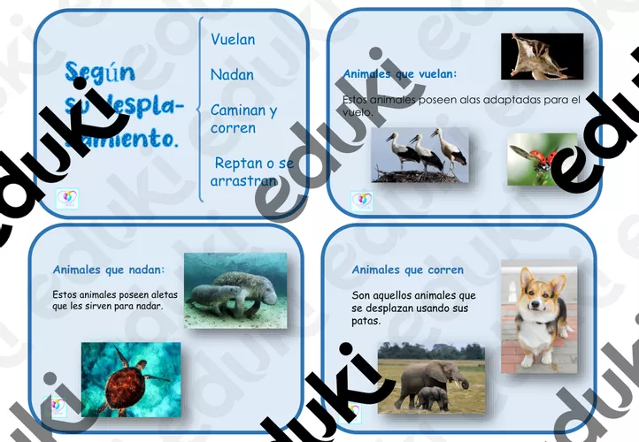 Hoja De Trabajo Para Clasificar Animales 804808 | Animales