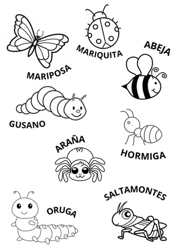 Colorines Insectos Colorear insectos - material de la siguiente asignatura Ciencias naturales