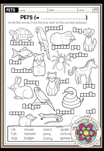 Pets Worksheet.pdf PETS - Vocabulary Worksheet - material de la siguiente asignatura ...