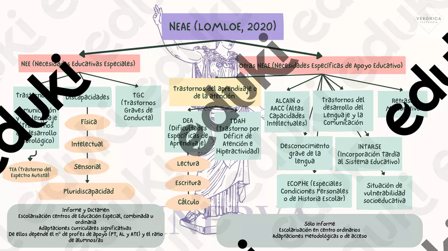 Tabla Neae Clasificación NEAE según la LOMLOE (2020) - material de la siguiente ...