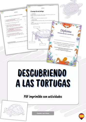 Descubriendo a las tortugas – Recurso de ciencias y conciencia ...