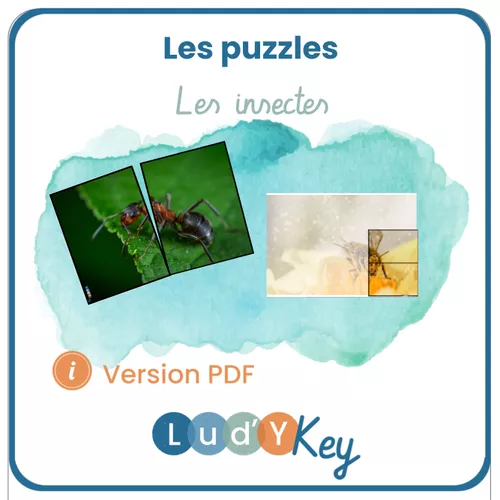 PUZZLES 2 PIECES INSECTES - Ressource pédagogique pour les matières ...