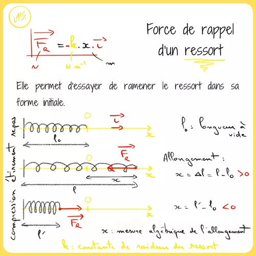 Force de rappel d'un ressort - Ressource pédagogique pour ton cours de