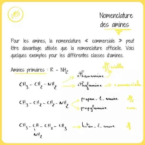Nomenclature Des Amines Primaires Ressource P dagogique Pour Ton Cours De nomenclature-des-amines-primaires-ressource-p-dagogique-pour-ton-cours-de
