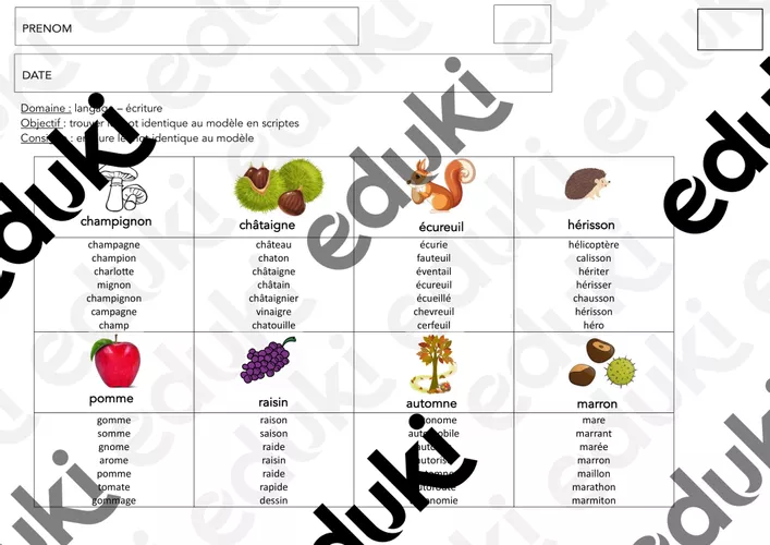 Trouver le mot identique au modèle en scriptes - Ressource pédagogique ...