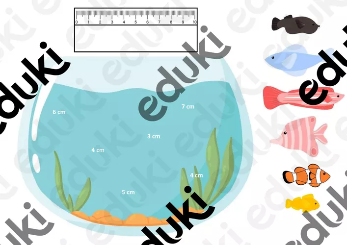 Atelier mesurer des longueurs - Ressource pédagogique pour ton cours de ...