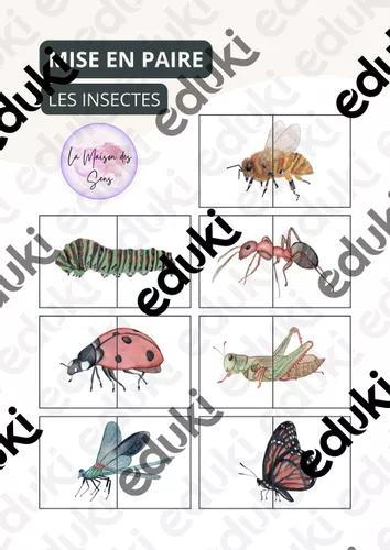 Insectes Puzzle Mise en Paire - Ressource pédagogique pour ton cours de ...