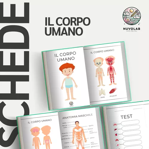 Buy Libro di anatoia da colorare per babini da 4 a 8 anni Buy Libro di anatoia da colorare per babini da 4 a 8 anni