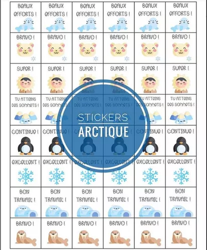 STICKERS ARCTIQUE ️ - Ressource pédagogique pour ton cours de Matériel ...