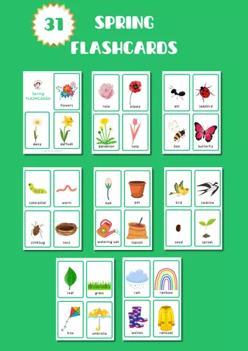 Spring Flashcards - Materiale didattico per la materia Inglese