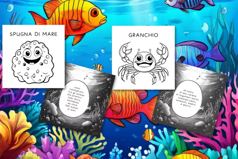 Bild in der Beschreibung des Unterrichtsmaterials ANIMALI MARINI DA COLORARE (per bambini 3/7 anni) von Matite Colorate Books #2