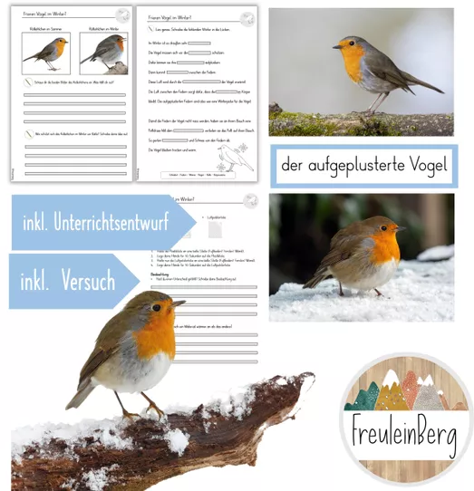 Bild in der Beschreibung des Unterrichtsmaterials 3. Stunde: Frieren Vögel im Winter? von FreuleinBerg #1