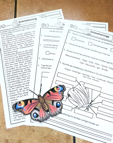 Bild in der Beschreibung des Unterrichtsmaterials Lesetext Schmetterling, Sachtext mit Leseaufgaben Klasse 3, 4, 5, Leseverstehen von LernTagebuch #1