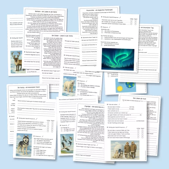 Bild in der Beschreibung des Unterrichtsmaterials Sachtexte lesen & verstehen: Winter (Leseübungen, Klassen 3-4) von Grundschulatelier #1