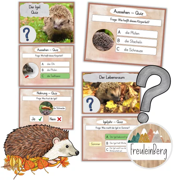 Bild in der Beschreibung des Unterrichtsmaterials Quiz - Der Igel von FreuleinBerg #1