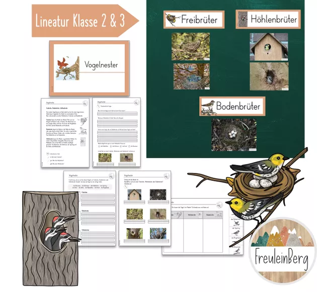 Bild in der Beschreibung des Unterrichtsmaterials 7. Stunde: Vogelnester - Freibrüter Höhlenbrüter Bodenbrüter von FreuleinBerg #1