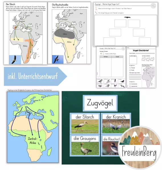 Bild in der Beschreibung des Unterrichtsmaterials 5. Stunde: Vögel im Winter - Zugvögel von FreuleinBerg #1