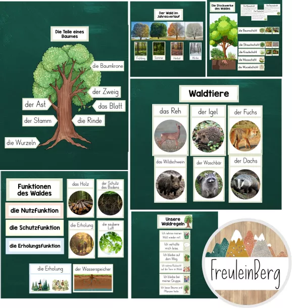 Bild in der Beschreibung des Unterrichtsmaterials Tafelmaterial zum Thema Wald - Materialpaket von FreuleinBerg #1