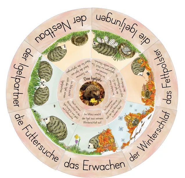 Bild in der Beschreibung des Unterrichtsmaterials Legekreis - Das Igeljahr von FreuleinBerg #1