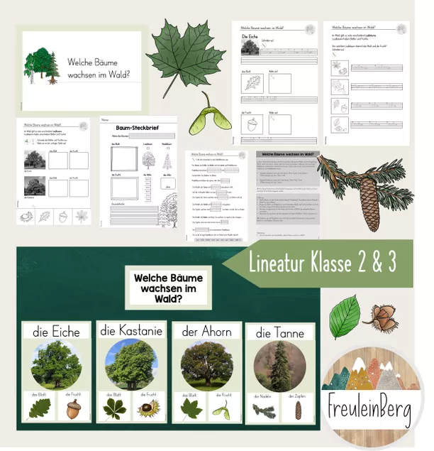 Bild in der Beschreibung des Unterrichtsmaterials Bäume des Waldes: Materialpaket von FreuleinBerg #1