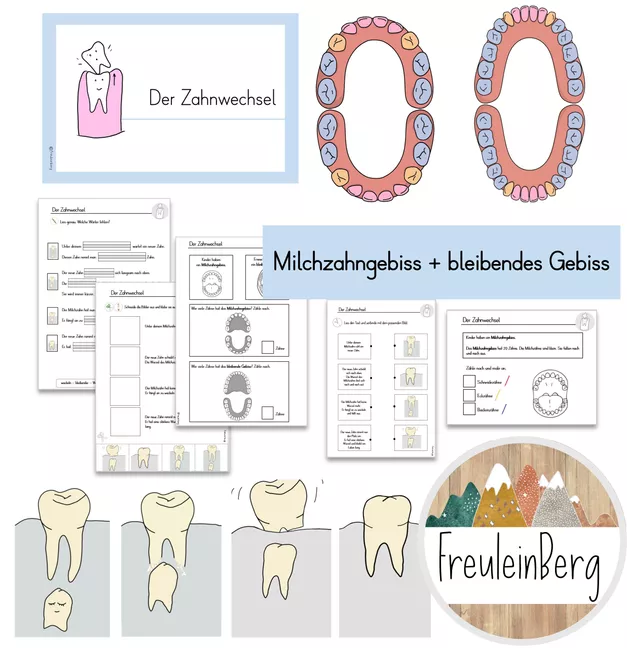 Bild in der Beschreibung des Unterrichtsmaterials Zähne: Zahnwechsel - Milchzahngebiss & bleibendes Gebiss - Arbeitsblätter von FreuleinBerg #1