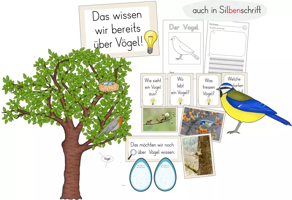 Bild in der Beschreibung des Unterrichtsmaterials 1. Stunde: Einführungsstunde - Vögel (Vorwissen) von FreuleinBerg #1