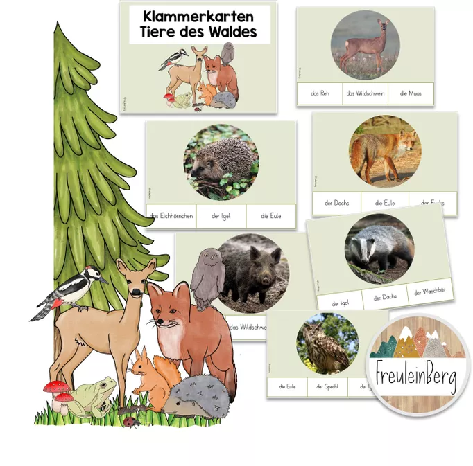 Bild in der Beschreibung des Unterrichtsmaterials Tiere des Waldes - Klammerkarten von FreuleinBerg #1