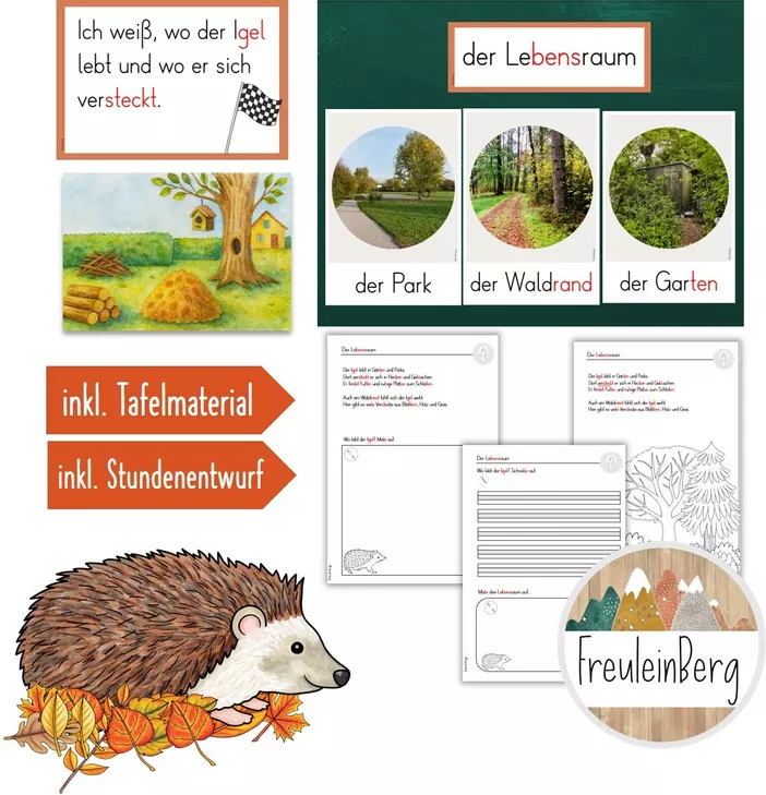 Bild in der Beschreibung des Unterrichtsmaterials 4. Stunde: Der Lebensraum des Igels (ABs + Tafelmaterial) von FreuleinBerg #1